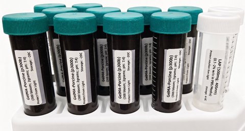 GelMA-Porcine 300 Bloom sample vials with LAP photoinitiator